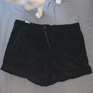 American eagle black corduroy shorts